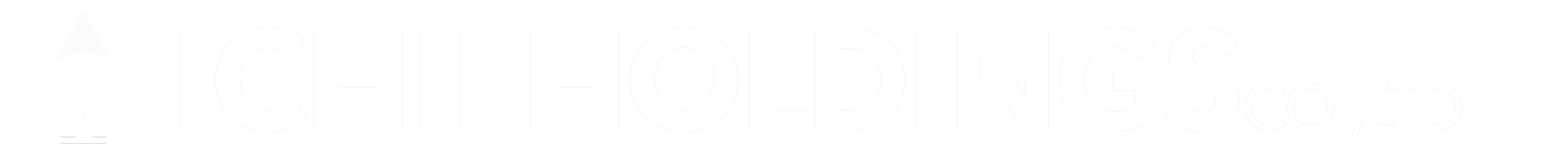 ICHII HOLDINGS Co., Ltd.